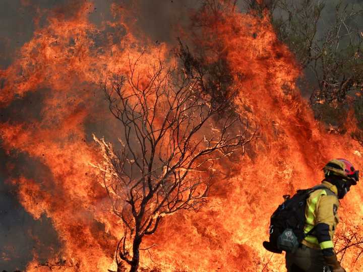 Con pronósticos de 44 grados, la ola de calor avanza en el sur de Europa: incendios, muertos y evacuados