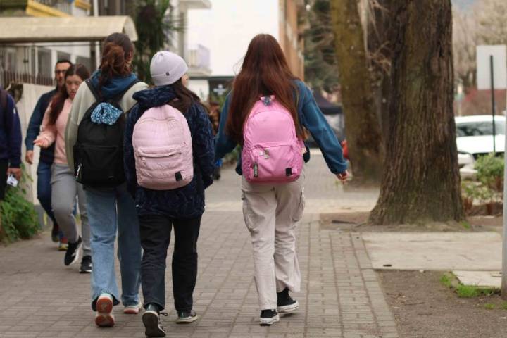 Pasa a sala: aprueban proyecto que pone fin al CAE y crea nuevo FES