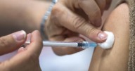 Health Canada approves updated Pfizer, Moderna COVID