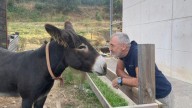 Risto, el burro que advirtió a los vecinos de Molinaseca de que venía el fuego: "Nos hizo actuar más rápido"
