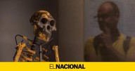 Lucy, el esqueleto más famoso del mundo, se expone en Europa por primera vez