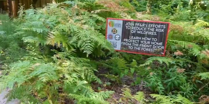 Portland Fire & Rescue’s newest official tasked with urban wildfire prevention