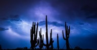 Map: Which parts of Phoenix had the most rainfall last night?