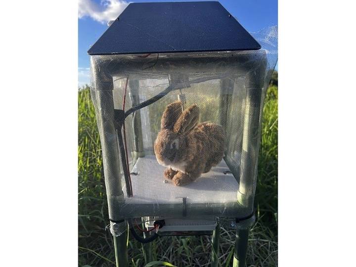 Robot rabbits the latest tool in battle to control invasive pythons
