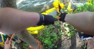 Two rescued from raging Menomonee River after attempting to save dog