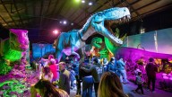 Éxito total: 5.000 personas ya vivieron la experiencia
