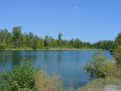 Remains found in South Dundas are not human: OPP | Cornwall Standard-Freeholder