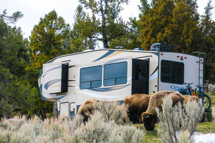 Yellowstone National Park Has A Camping Problem: The Numbers Don't Lie
