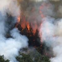 Spain calls wildfires one of its worst disasters in years