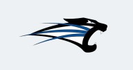 Saint Francis rally falls short in Sherman's debut