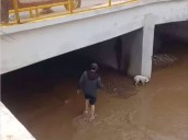 Rescatan a ciudadano y dos mascotas de arroyo
