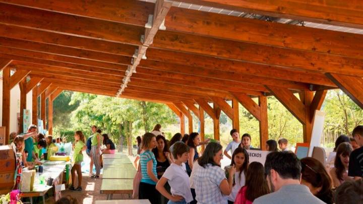 Educación Ambiental Las Rozas 2025: casi 4.000 participantes en actividades para todas las edades