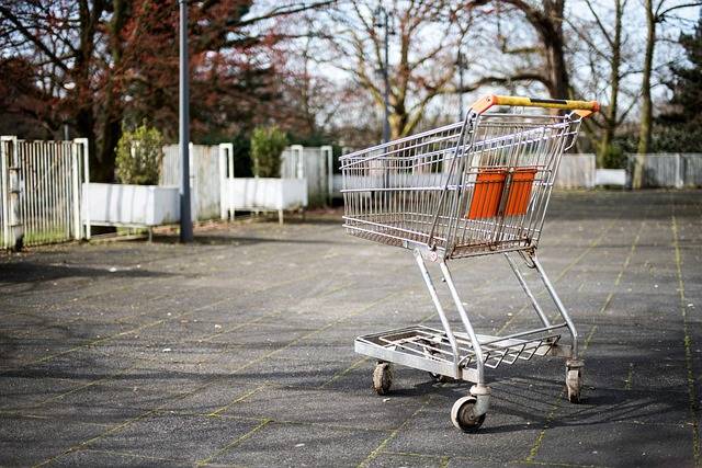 Feds ask for personal data for SNAP recipients; WV groups say governor should not comply