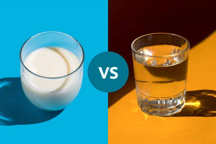 Which Is More Hydrating—Milk or Water?