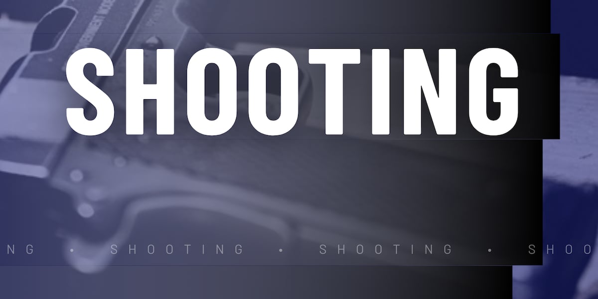 Teenager walking home from store in St. Louis shot by masked man, police say