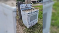 Texas Cleanup Crew Was Shocked To Find A Fluffy Animal Hiding In An Oven After The Flood