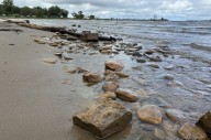 Owen Sound among Ontario communities undertaking coastal cleanup