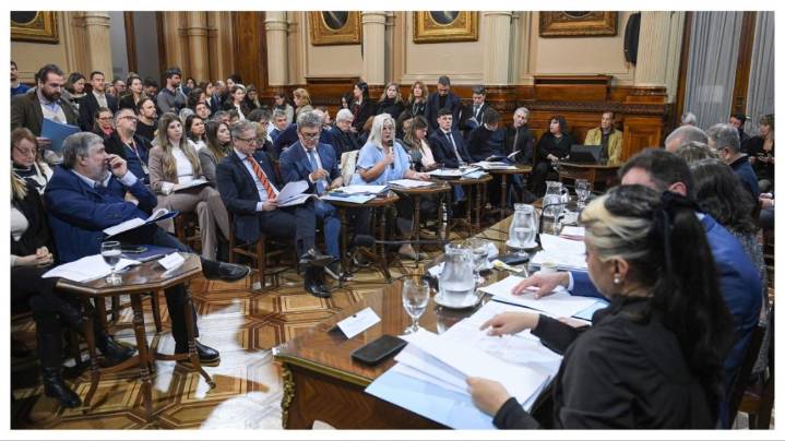 Senado: la oposición dictaminó la emergencia en pediatría y vuelve a meter presión al gobierno