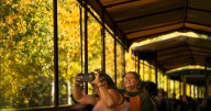 Colorado's fall colors for 2025 where, when it's best to see