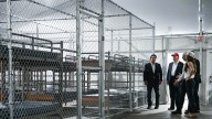 Federal judge halts construction at Florida's 'Alligator Alcatraz'