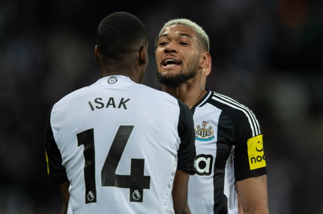 Newcastle star ‘likes’ post slamming Alexander Isak as Liverpool plot second transfer bid