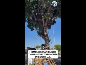 Homeless man builds three-story treehouse in South LA