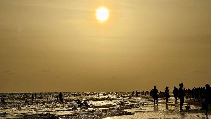 Vibrio vulnificus Florida deaths rise to 5, cases now up to 16