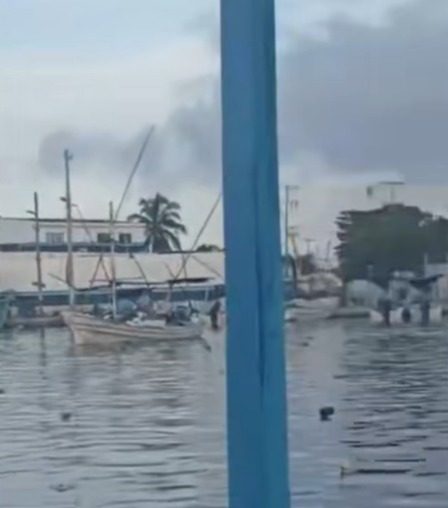 Pescadores foráneos contaminan playas de Dzilam de Bravo