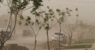 Tragedia en Mendoza: seis muertos por el viento Zonda, incendios y un accidente fatal