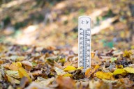 Record Cold Temperatures Hit Gulf Coast State