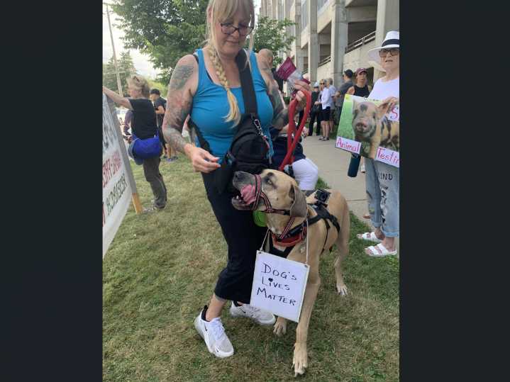 Vigil for dogs killed in research held at St. Joseph's hospital in London