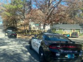 Dog finds human remains in Birmingham for third time in a year
