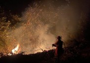 El sector agrario no descarta movilizarse contra la política forestal de Asturias y «el abandono de los montes»