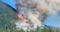 Wildfire near Port Alberni, B.C., triggers evacuations, road closure
