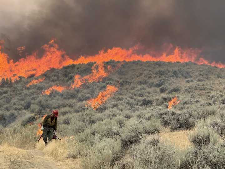 The West is on fire as Washington fans the flames
