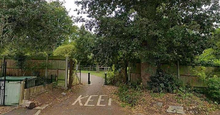Teenage girl 'drugged and raped' in park in early morning as four men arrested