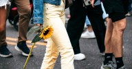 Spring Garden's Sunflower Festival returns to Fairmount Avenue for second year on Sept. 6