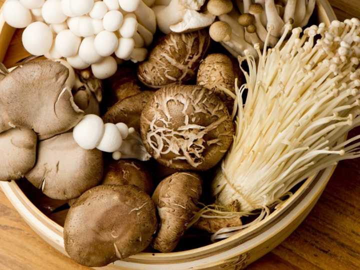 Propiedades curativas del hongo michoacano para el colesterol y el hígado