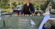Learn about mobile tools to explore, better understand nature at Tuesday event