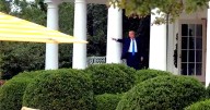 Trump Shows Off White House Patio — With Umbrellas ‘Literally From Mar