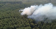 Probe after massive wildfire rips through Cannock Chase woodland as urgent warning issued