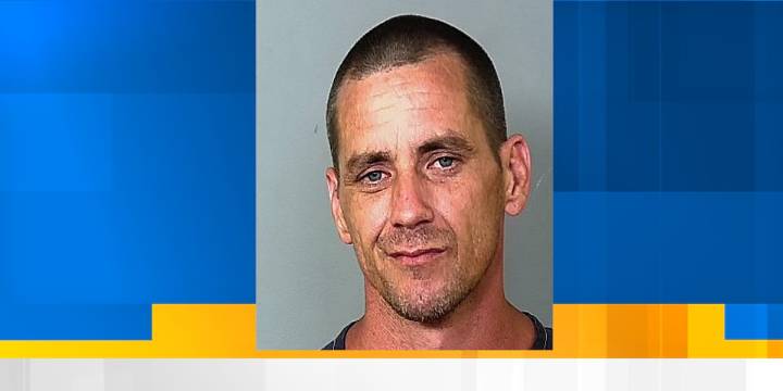 HIGH ALERT: Police hunting for wanted felon