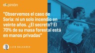 ¿Y si privatizamos los bosques?