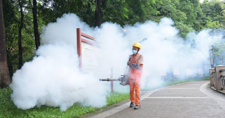 U.S. warns travelers about chikungunya virus, spread by mosquito bites, in China