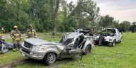 Two injured after large tree falls on vehicle at Waterloo recreation area