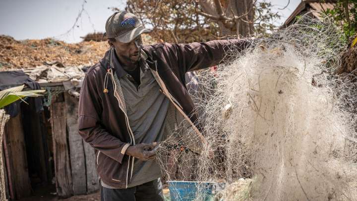 Takeaways: Gambia's fishermen are caught in a 'sea war' with foreign vessels