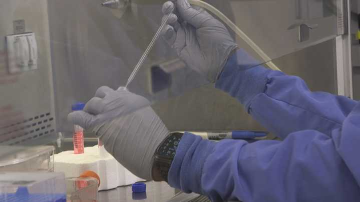 'My childhood dream': Jacksonville doctor's research will blast off in space