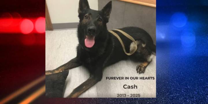 Sioux City police pay tribute to K-9 hero Cash after his passing