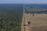 Brazilian court restores Amazon soy moratorium, for now