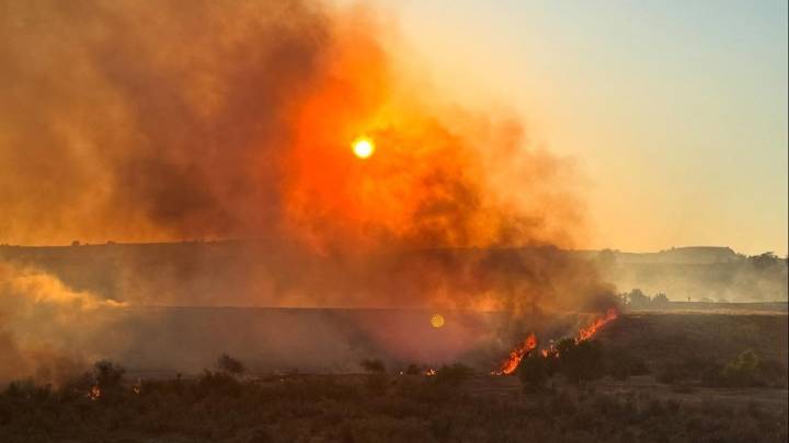 Fresno County Fire Burns 31 Acres at Lost Lake Recreation Area